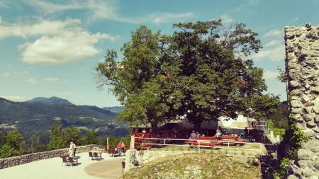 Stari grad nad Kamnikom